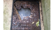 Drain Unblocking & Drain Jetting in Epsom