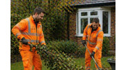 Yard Waste Removal