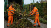Landscaping Waste Removal