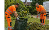 Garden Clearance