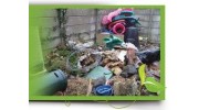 Garden Clearance