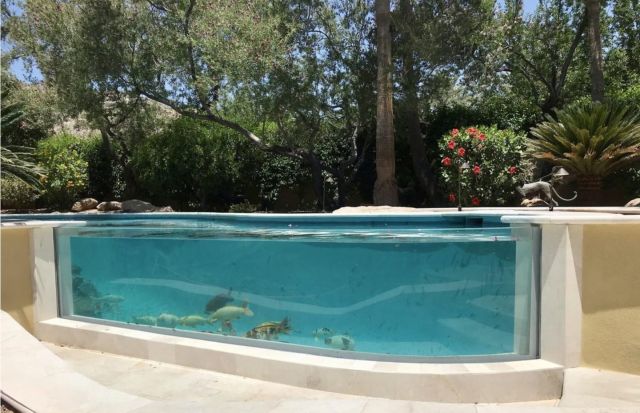 Toughened laminated glass for a koi pond viewing window