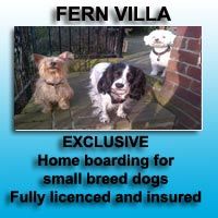Spacious house & secured grounds