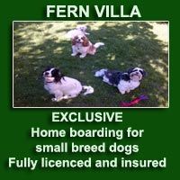 Exclusively for small breed dogs!