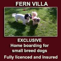 Strictly no kennels!