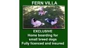 Exclusive home boarding for Small breed dogs