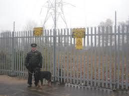Dog Patrols