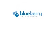 Blueberry Marketing Solutions