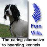 Fern Villa - Dog Home Boarding in Rotherham