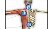 Reading Chiropractor Ltd